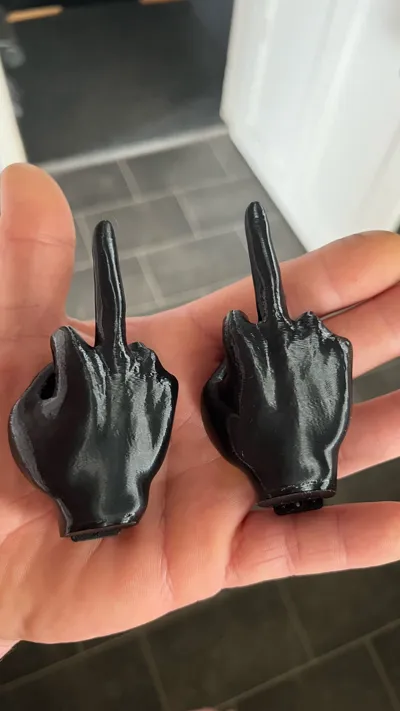 https://makerworld.bblmw.com/makerworld/model/395476/296763/ratings/2ec1b2d0-3303-11f0-a159-c7490c697da6.jpg