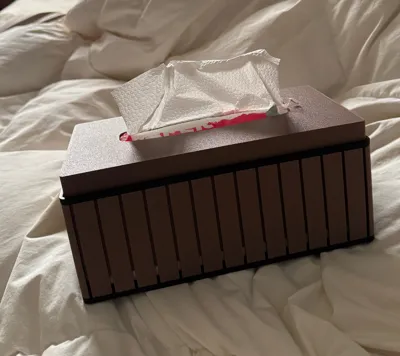 https://makerworld.bblmw.com/makerworld/model/395991/297279/ratings/b8f37bb0-5b3e-11f0-a053-d79c6752403c.jpg