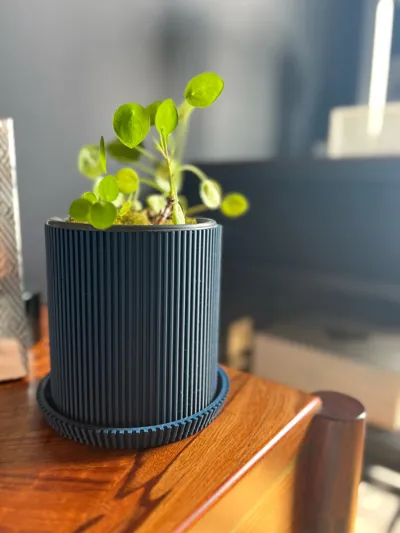 https://makerworld.bblmw.com/makerworld/model/396295/297578/ratings/bfdd7d60-8d96-11f0-b025-17a6207e141d.jpg