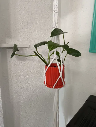 https://makerworld.bblmw.com/makerworld/model/396295/297583/ratings/56d4c530-fcf0-11ef-934f-ede53e631ddf.jpg