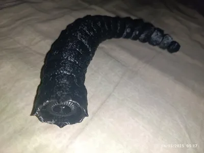 https://makerworld.bblmw.com/makerworld/model/397122/327979/ratings/546d77b0-fa07-11ef-bc1c-d79aa519e591.jpg