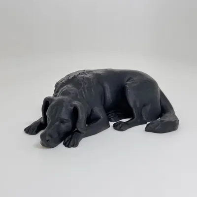 https://makerworld.bblmw.com/makerworld/model/397954/299433/ratings/88ae3360-ca69-11f0-be43-e1adaf72a209.jpg
