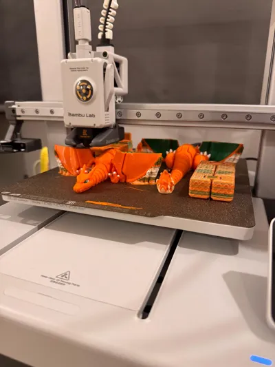 https://makerworld.bblmw.com/makerworld/model/398058/1067808/ratings/eb4adc80-4dfa-11f0-9500-fb67afdbd01d.jpg