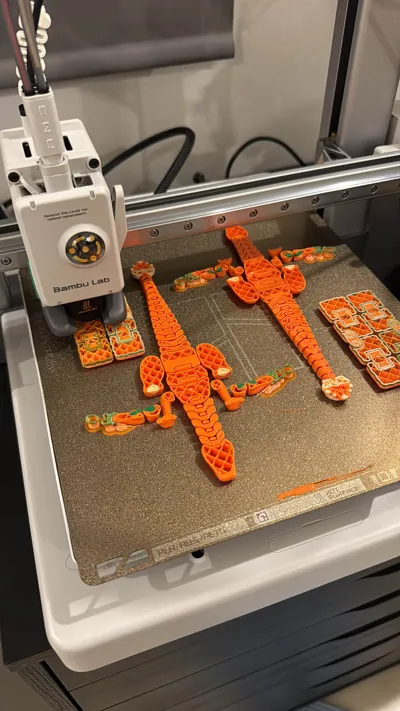https://makerworld.bblmw.com/makerworld/model/398058/1067808/ratings/eb51ba50-4dfa-11f0-9500-fb67afdbd01d.jpg