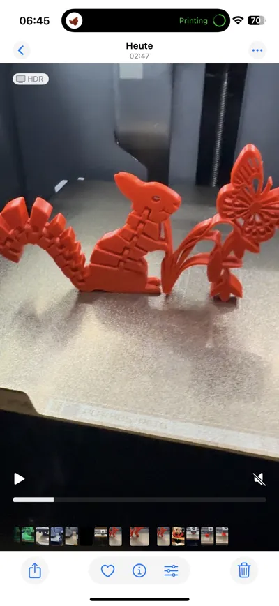 https://makerworld.bblmw.com/makerworld/model/398549/300057/ratings/fbcf7440-ff9d-11ef-a23c-cb358315472f.jpg