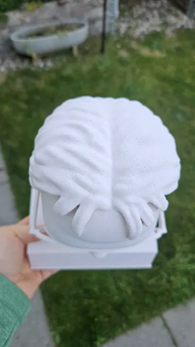 https://makerworld.bblmw.com/makerworld/model/399318/300837/ratings/e113c710-a528-11f0-8639-f9ab1c4c3a3a.jpg