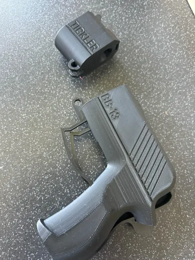 https://makerworld.bblmw.com/makerworld/model/401252/305065/ratings/4389b780-3240-11f0-90b7-b31559123d65.jpg