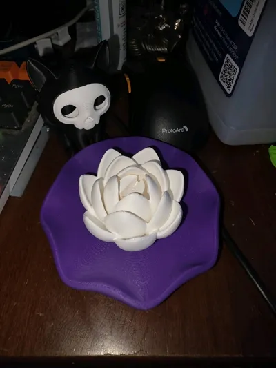 https://makerworld.bblmw.com/makerworld/model/401786/314036/ratings/c433c6f0-dd5d-11f0-9f7b-476850f8e1e3.jpg