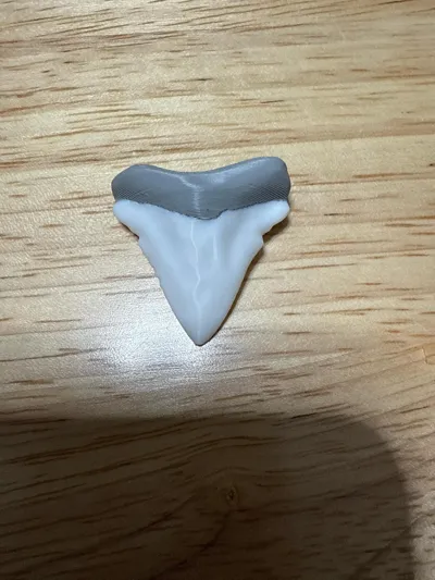 https://makerworld.bblmw.com/makerworld/model/401934/303552/ratings/d4ceb9e0-7c49-11f0-8af4-2d2d47e2c78c.jpg