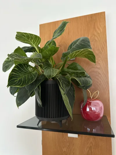 https://makerworld.bblmw.com/makerworld/model/403746/305421/ratings/7d699dc0-6d6a-11f0-985d-e1cbd0864079.jpg