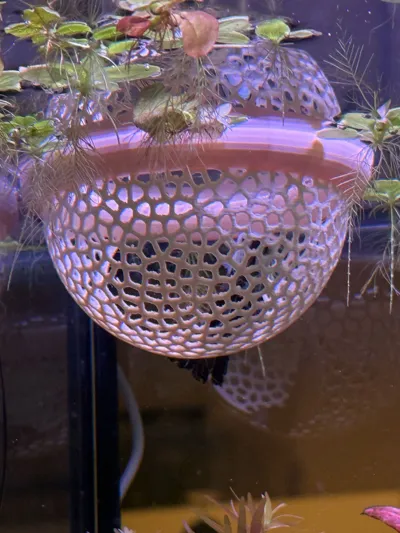 https://makerworld.bblmw.com/makerworld/model/404260/305974/ratings/621145a0-f97e-11f0-b8cb-978d2f6ae29c.jpg