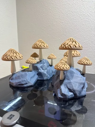 https://makerworld.bblmw.com/makerworld/model/406268/308191/ratings/c9555860-f932-11f0-aa72-81b51dcad791.jpg