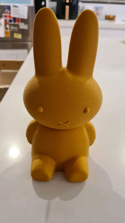 https://makerworld.bblmw.com/makerworld/model/406270/308196/ratings/e4d745b0-8e95-11f0-8bf8-7346313da60b.jpg