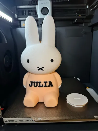 https://makerworld.bblmw.com/makerworld/model/406270/308196/ratings/eed75140-f443-11f0-a59c-278eaa22ce1b.jpg
