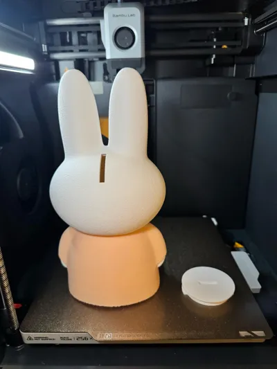 https://makerworld.bblmw.com/makerworld/model/406270/308196/ratings/eee64560-f443-11f0-a59c-278eaa22ce1b.jpg