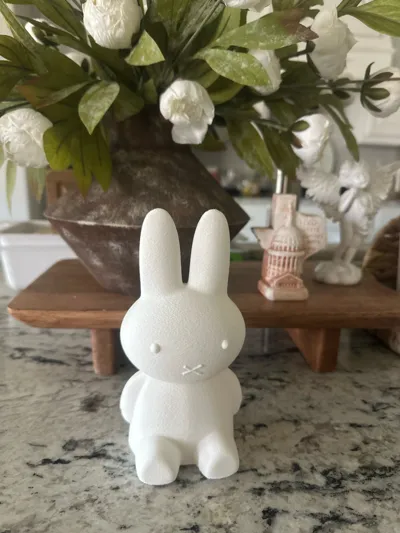 https://makerworld.bblmw.com/makerworld/model/406270/706855/ratings/53d7ca10-8dc5-11f0-bbb3-752c7062841d.jpg