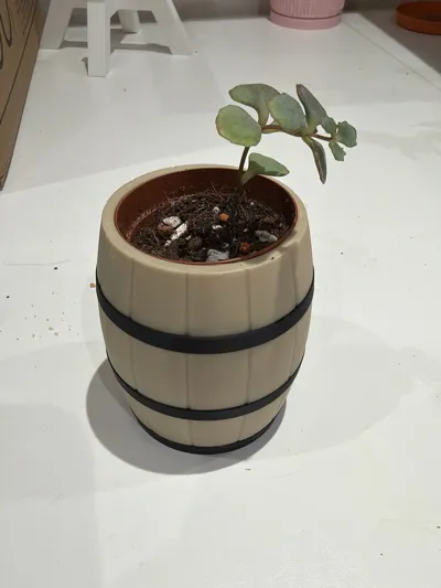 https://makerworld.bblmw.com/makerworld/model/406313/308258/ratings/f517f400-cbcc-11f0-950d-fbc70e1e62c0.jpg