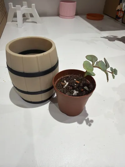 https://makerworld.bblmw.com/makerworld/model/406313/308258/ratings/f5331d20-cbcc-11f0-950d-fbc70e1e62c0.jpg