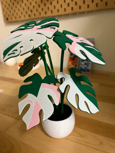 https://makerworld.bblmw.com/makerworld/model/407056/393994/ratings/72871930-6f3d-11f0-94f7-2333afbe49b0.jpg