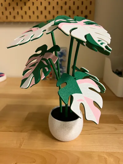 https://makerworld.bblmw.com/makerworld/model/407056/393994/ratings/728d33b0-6f3d-11f0-94f7-2333afbe49b0.jpg