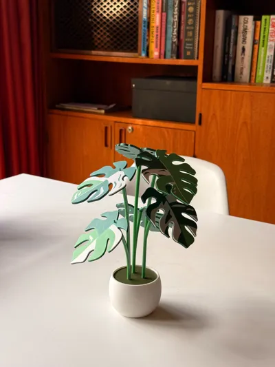 https://makerworld.bblmw.com/makerworld/model/407056/421395/ratings/3a136500-5f74-11f0-95c2-23e702ec6d4a.jpg