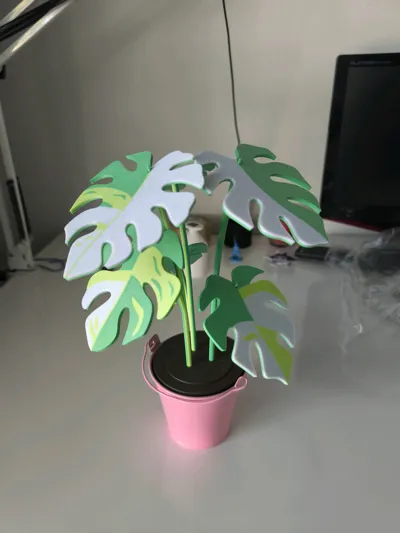https://makerworld.bblmw.com/makerworld/model/407056/421395/ratings/5b516190-b8ca-11f0-b7a5-076684a567e7.jpg