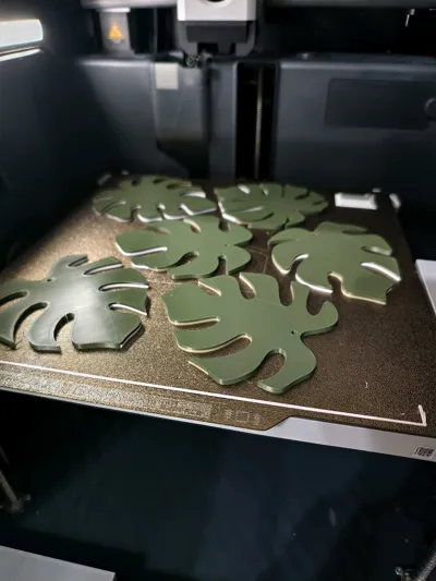 https://makerworld.bblmw.com/makerworld/model/407056/421395/ratings/7f0ca710-7839-11f0-ad1e-c79531af7444.jpg