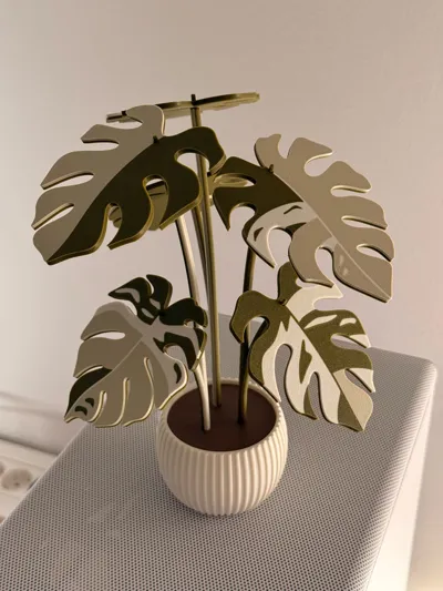 https://makerworld.bblmw.com/makerworld/model/407056/421395/ratings/900d1b60-90af-11f0-ab23-719e5e18c608.jpg