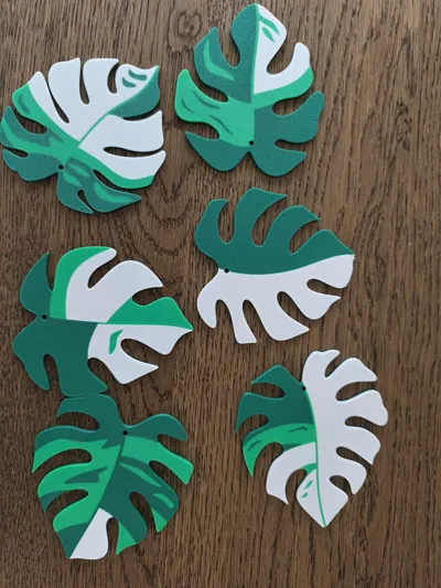 https://makerworld.bblmw.com/makerworld/model/407056/421395/ratings/99a07460-73e5-11f0-8031-0b498b32dfa8.jpg