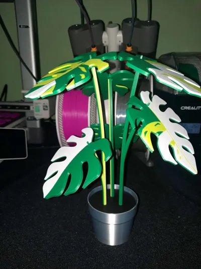 https://makerworld.bblmw.com/makerworld/model/407056/421395/ratings/ca50f400-ed8d-11f0-9088-37922bdd6d85.jpg