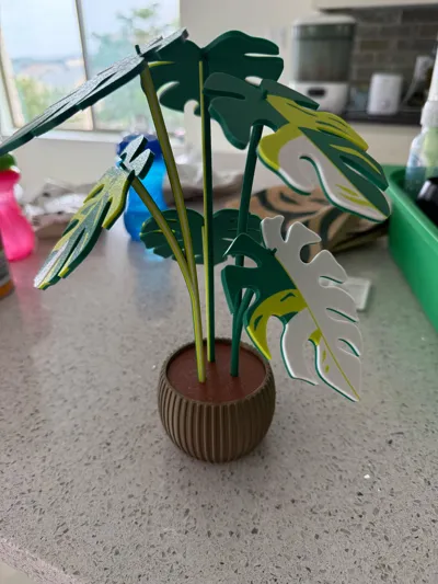 https://makerworld.bblmw.com/makerworld/model/407056/421395/ratings/cfc38400-6671-11f0-a93f-e70b74d6d44a.jpg