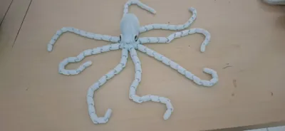 https://makerworld.bblmw.com/makerworld/model/40737/205378/ratings/43a1f2e0-285a-11f0-aa25-f7c878a242d6.jpg