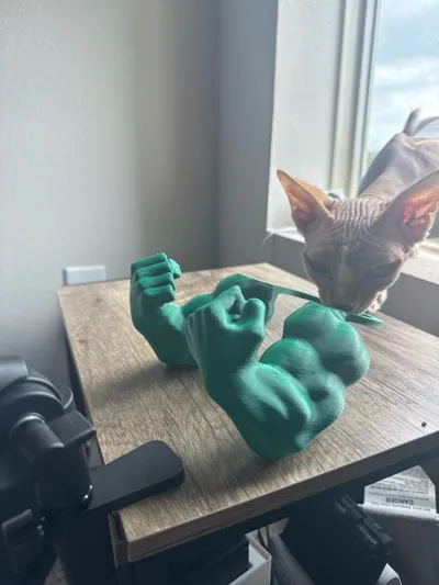 https://makerworld.bblmw.com/makerworld/model/407876/309822/ratings/abae4370-5aaa-11f0-8f6a-5b0af2be5a13.jpg