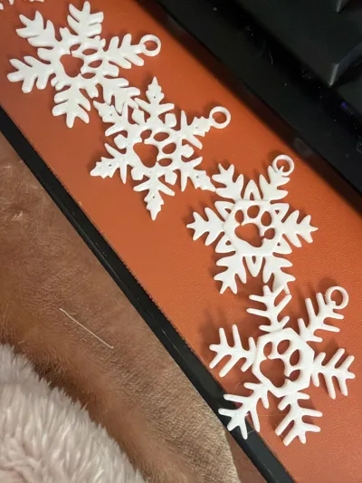 https://makerworld.bblmw.com/makerworld/model/410514/312480/ratings/b0432e40-a20e-11f0-9b31-4156e0c61187.jpg