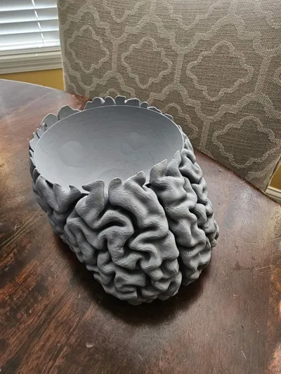 https://makerworld.bblmw.com/makerworld/model/411266/313189/ratings/d1d11ce0-9d5c-11f0-a4f7-9765b236ec8b.jpg