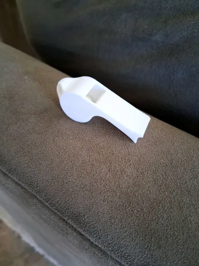 https://makerworld.bblmw.com/makerworld/model/411350/1639223/ratings/1d4521b0-869e-11f0-876d-c50cc976d21e.jpg