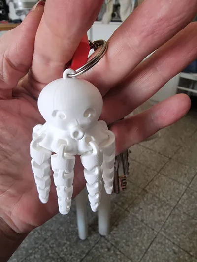 https://makerworld.bblmw.com/makerworld/model/411992/313916/ratings/70f21e20-78fd-11f0-beb5-6b61e315e4a9.jpg