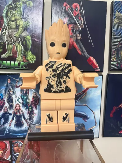 https://makerworld.bblmw.com/makerworld/model/412120/314051/ratings/f2640300-61de-11f0-923e-6d536690c773.jpg