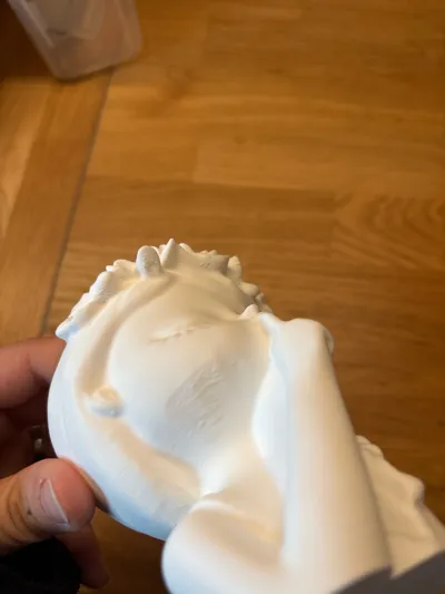 https://makerworld.bblmw.com/makerworld/model/412185/314118/ratings/5c969c71-2bd8-11f0-9efd-51add1650329.jpg