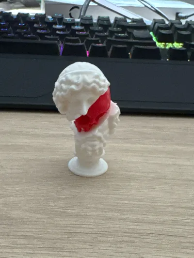 https://makerworld.bblmw.com/makerworld/model/412923/314886/ratings/c9f9ab10-1dee-11f0-bf68-5f673aed315a.jpg