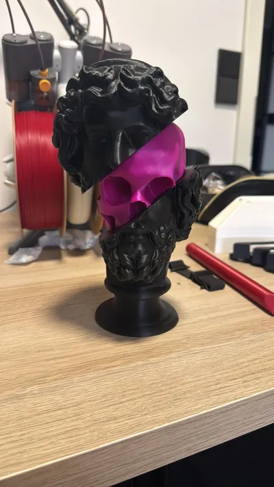 https://makerworld.bblmw.com/makerworld/model/412923/314891/ratings/8cdd8dc0-5ca3-11f0-b7af-e99f7e98329b.jpg