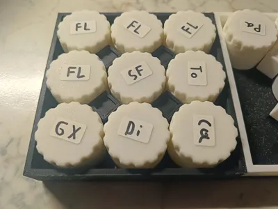 https://makerworld.bblmw.com/makerworld/model/413861/315896/ratings/122bc9f0-f84b-11ef-9d0c-e5e27e6c9ee5.jpg