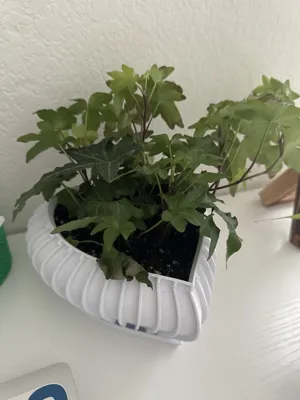 Heart Flower Pot - Love Pot by C3D - MakerWorld