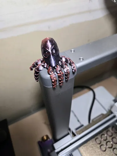https://makerworld.bblmw.com/makerworld/model/415203/362424/ratings/2429d180-3d4a-11f0-894c-2933aeb2b935.jpg