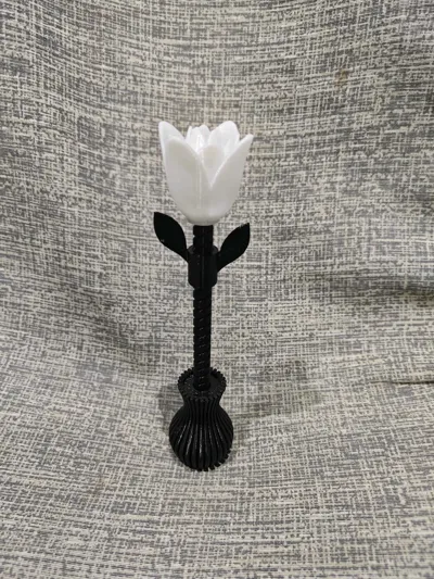 https://makerworld.bblmw.com/makerworld/model/416403/318666/ratings/8d6a6020-ac52-11f0-bca8-11c676efe2b8.jpg