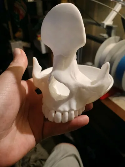 https://makerworld.bblmw.com/makerworld/model/416844/319167/ratings/7476fb00-5fd6-11f0-aad3-a1714403d092.jpg
