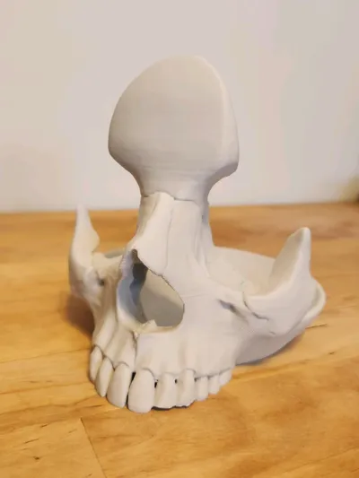 https://makerworld.bblmw.com/makerworld/model/416844/319167/ratings/8d0fb1b0-871e-11f0-bf99-695e61a1b941.jpg