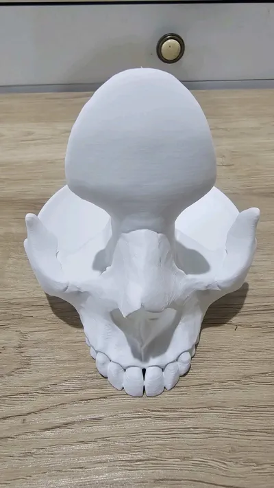 https://makerworld.bblmw.com/makerworld/model/416844/319167/ratings/ec42f670-518f-11f0-9512-fd376ae14855.jpg