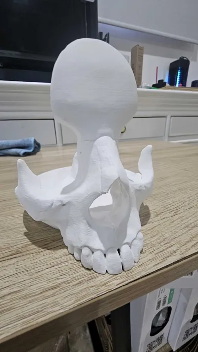 https://makerworld.bblmw.com/makerworld/model/416844/319167/ratings/ec4abea0-518f-11f0-9512-fd376ae14855.jpg