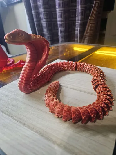 https://makerworld.bblmw.com/makerworld/model/416901/319225/ratings/940a49f0-20bf-11f0-afb4-59445e4de402.jpg